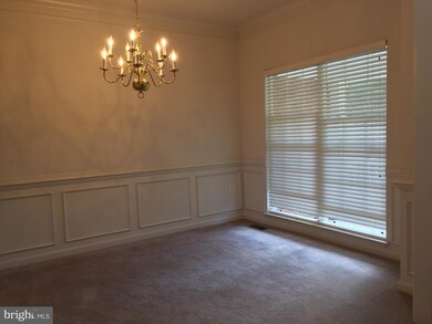 734 Sterling Dr, Winchester, VA 22601 - photo 7