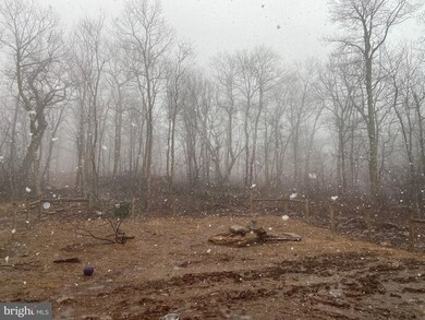 347 S Branch Mountain Rd, Moorefield, WV 26836 - photo 7