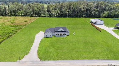 17906 Critter Cove Ln, Livingston, LA 70754 - photo 3