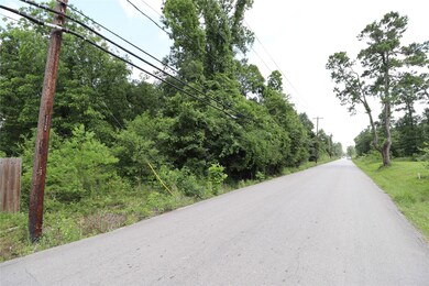 6000 Cebra St, Houston, TX 77091 - photo 3