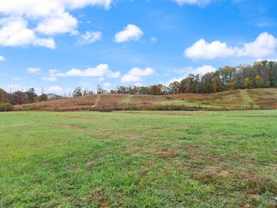 1114 Matt Baker Rd, London, KY 40744 - photo 6