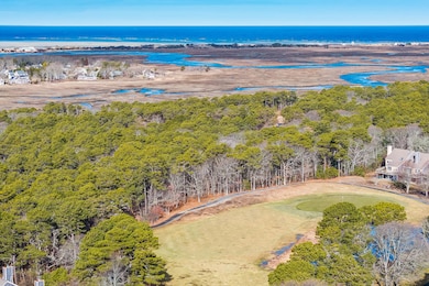 DJI_20250204101250_0601_D