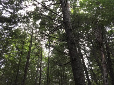 6b