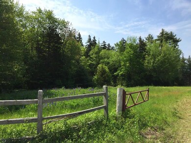 Gate and field to Lots B and C