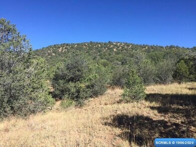 61 Euphoria Rd, Silver City, NM 88061 - photo 4