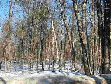 off Wilson Hill Rd, Francestown, NH 03043 - photo 5