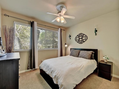 Carpeted bedroom featuring multiple windows and c