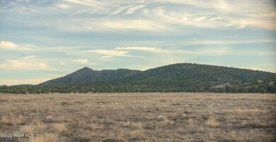 0 N Antelope Ln unit 1044420, Paulden, AZ 86334 - photo 7