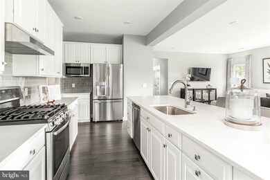 5352 Striped Maple St, Frederick, MD 21703 - photo 3