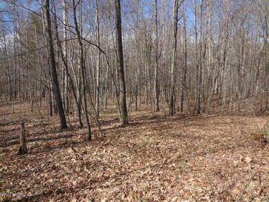 5185 E 96th St, Newaygo, MI 49337 - photo 2