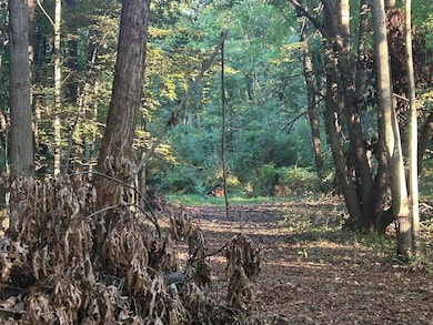 11500 Goose Lake Rd, Jonesville, MI 49250 - photo 6