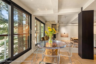 1034 E Cooper Ave unit 26A, Aspen, CO 81611 - photo 6