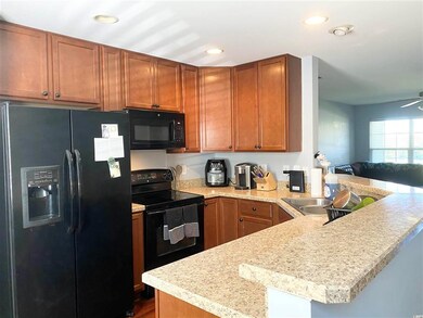 4560 Livorn Loop unit 4560, Myrtle Beach, SC 29579 - photo 7