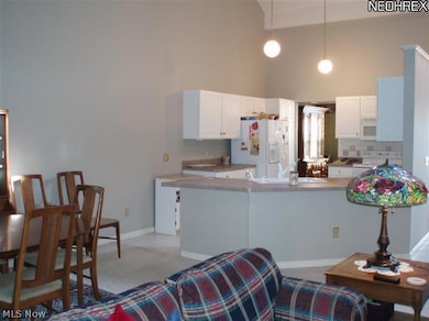 713 Grand View Ln, Aurora, OH 44202 - photo 4