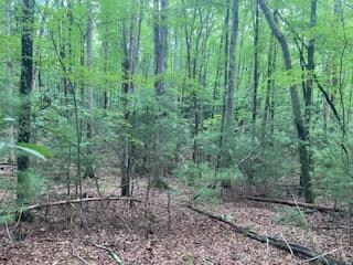 105 Saddlebrook Ln unit 30, Daniels, WV 25832 - photo 6