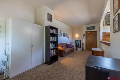 338 Whispering Pines Dr, Durango, CO 81301 - photo 5