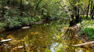 54 Creekview Ln, Altamont, TN 37301 - photo 6