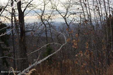 L12 & L13 Middle Rd, Anchorage, AK 99577 - photo 7