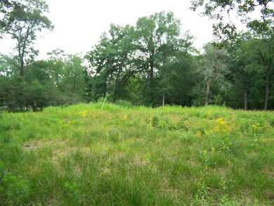 25163 Lakeside Dr, Hockley, TX 77447 - photo 2