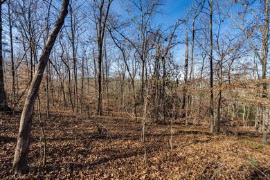 5831 Hunter Rd, Ooltewah, TN 37363 - photo 5