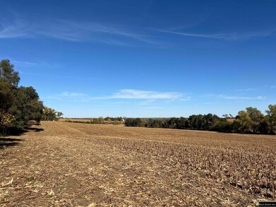 Parcel 5 Spring Saunders County Acreages County Rd, Yutan, NE 68073 - photo 7