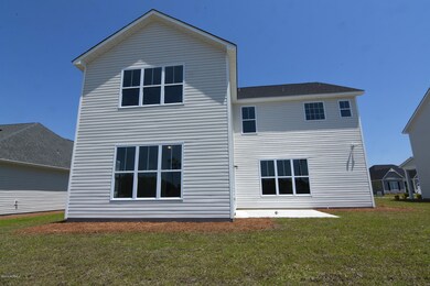 Back View