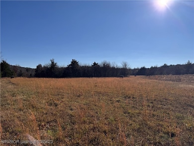 47760 Conser Creek Rd, Heavener, OK 74937 - photo 7