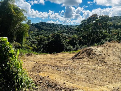 0 unit LOT 21, Juncos, PR 00777 - photo 7