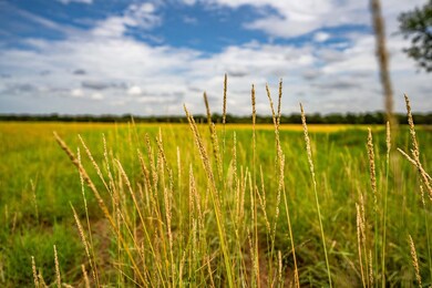 0 Boos Ln unit B 80807, Fredericksburg, TX 78624 - photo 6