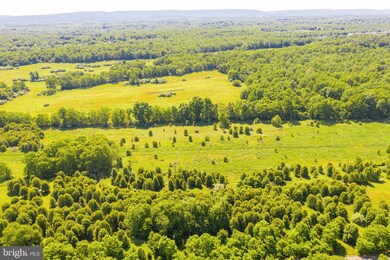 24 Marsh Hawk Way, Shepherdstown, WV 25443 - photo 4