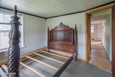 338 Line St, Danville, PA 17821 - photo 6