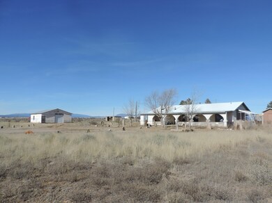 LariatNew (2)