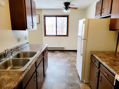 320 1st St unit 4, Clinton, MN 56225 - photo 5