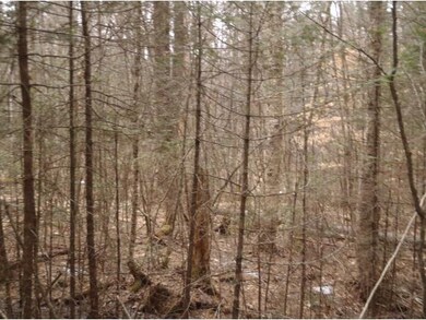 Lot 8 Logging Trail unit Lot 8, Lisbon, NH 03585 - photo 4