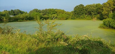 Pond
