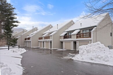 21 Tripyramid Way unit 28, Waterville Valley, NH 03215 - photo 4