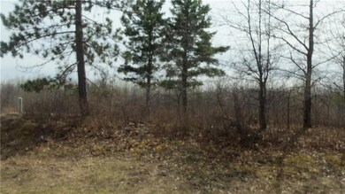 Lot 1 Minerva Dam Rd, Swiss, WI 54830 - photo 5