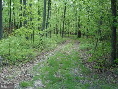 0 Three Turn Rd unit 1003987076, Shippensburg, PA 17257 - photo 2