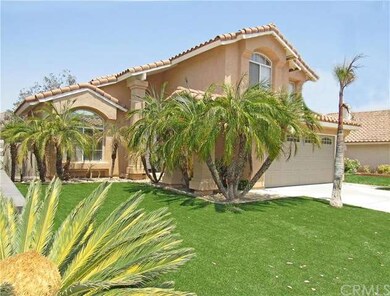 Numerous Palm Trees in Front Yard