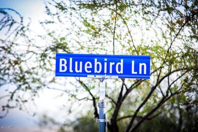 Bluebird Ln-6