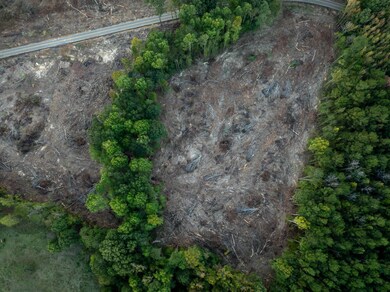 0 Ashley Rd unit 11613506, Brandon, MS 39042 - photo 6