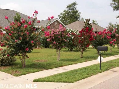 Front yard in bloom.