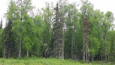 Beautiful Recreational Area