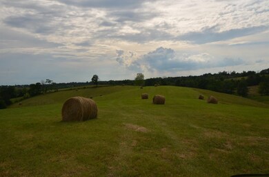 305 Calvary Rd, Harrodsburg, KY 40330 - photo 4