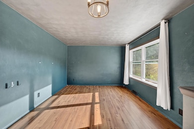 1312 3rd St, New Glarus, WI 53574 - photo 3