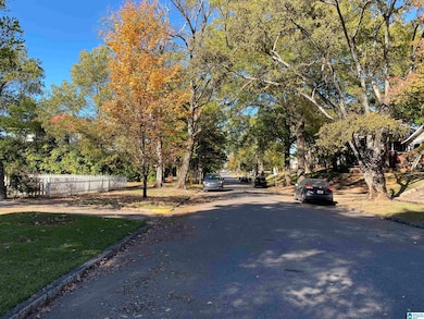 1424 10th Place S, Birmingham, AL 35205 - photo 3