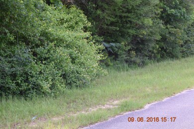 Masterson Rd. (3 Acres) 3