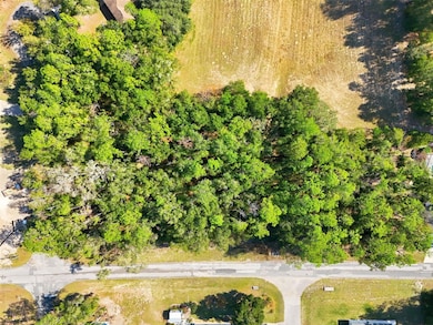 10441 N Biscayne Dr, Citrus Springs, FL 34434 - photo 2