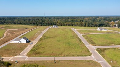0 147 Acadia St (Lot 69) unit 21-2136, Starkville, MS 39759 - photo 3