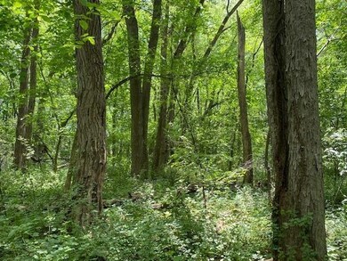 5 Ac Sunrise Rd, Rutland, WI 53575 - photo 5